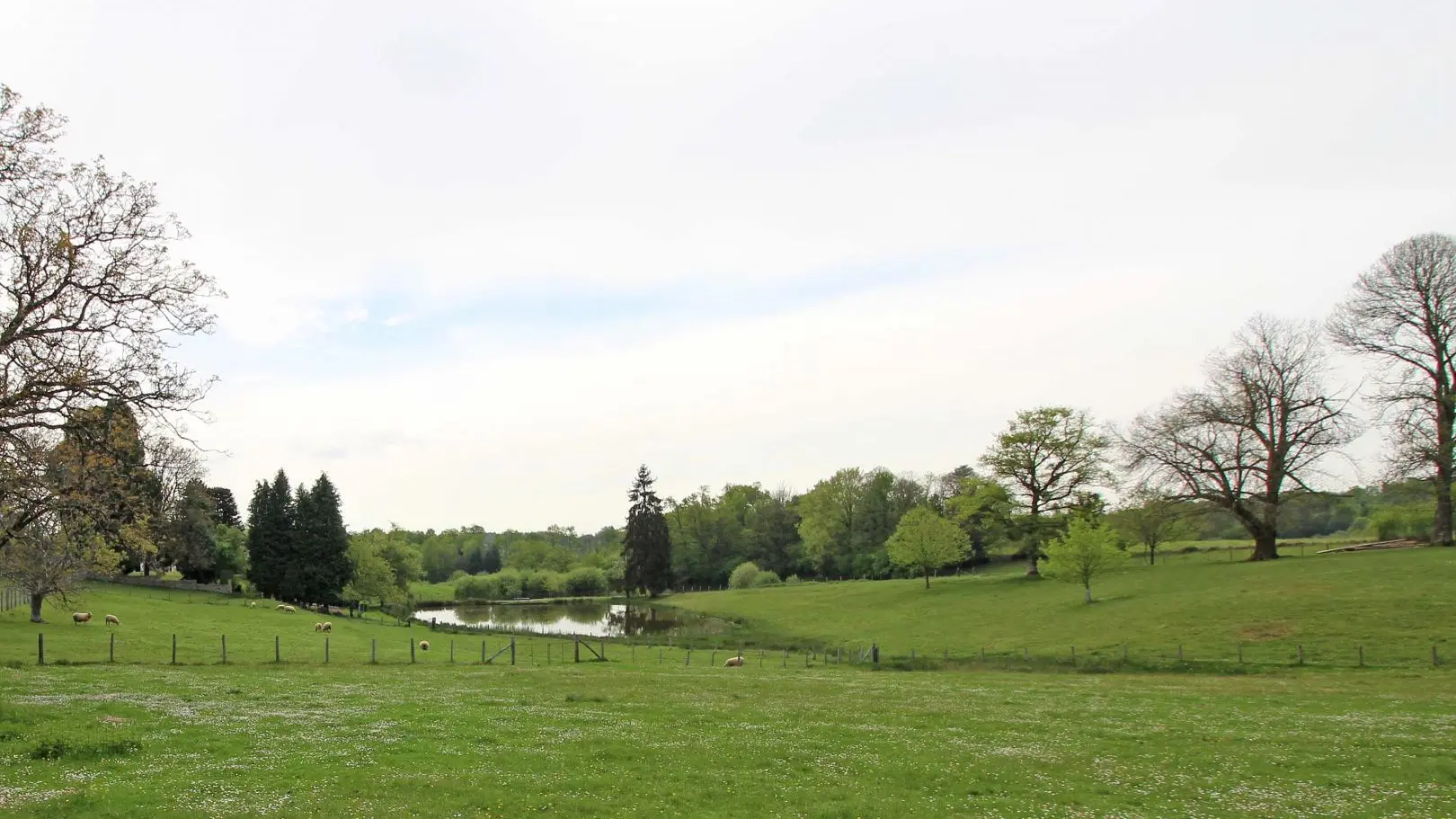 Gîte L'Ecurbie à Coussac Bonneval en Haute-Vienne_16