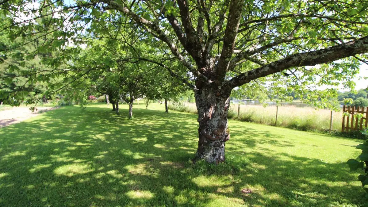 Gîte de Combrouze à Nexon en Haute-Vienne (Nouvelle Aquitaine))_27