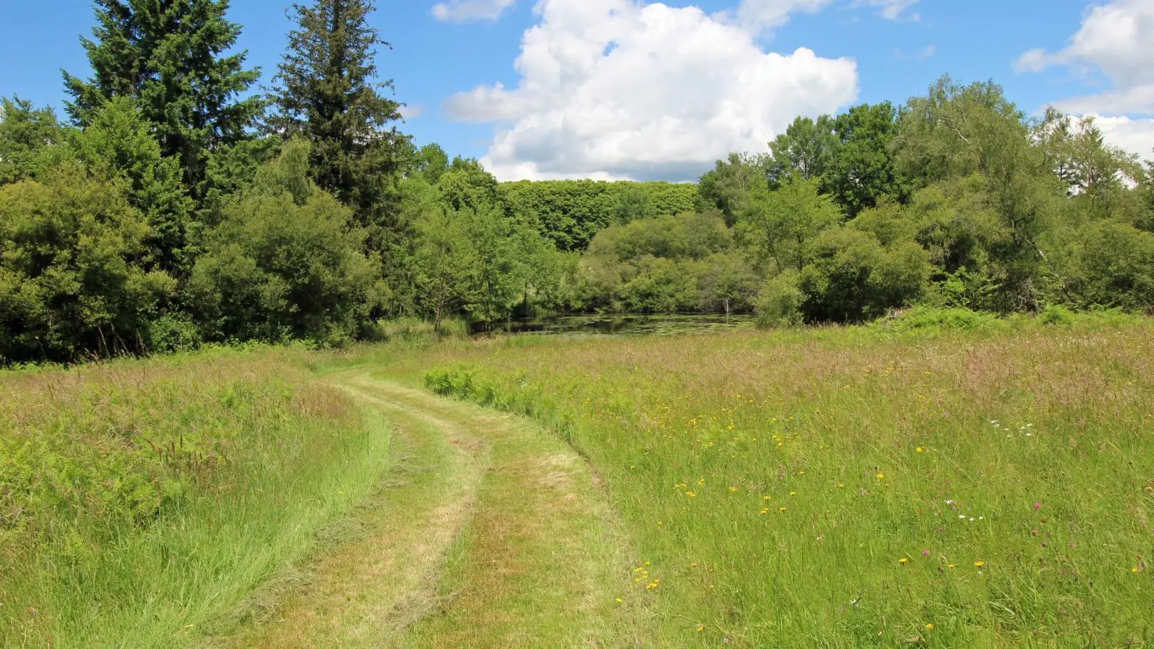 Gite du Clos du Got à Saint Yrieix La Perche en Haute-Vienne - accès à l'étang situé à 300 m_3