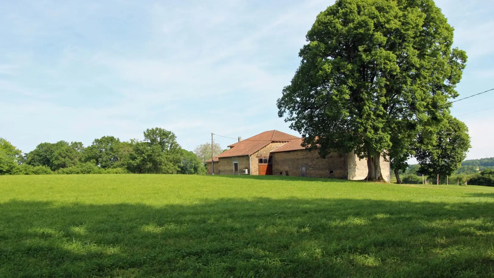 Gîte Le Tilleul Le Chalard sur la commune de Chalus en Haute-Vienne - le majestueux tilleul _22