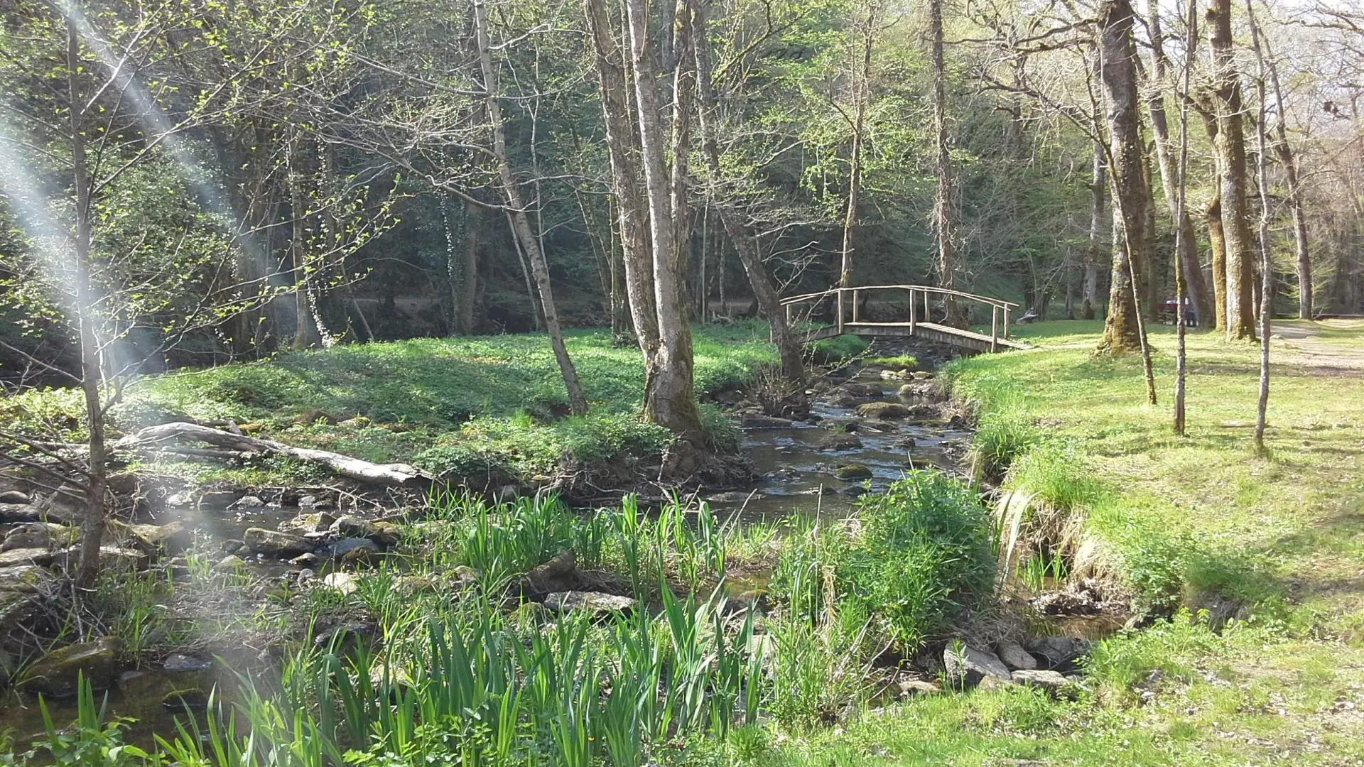 petite passerelle en bois_34