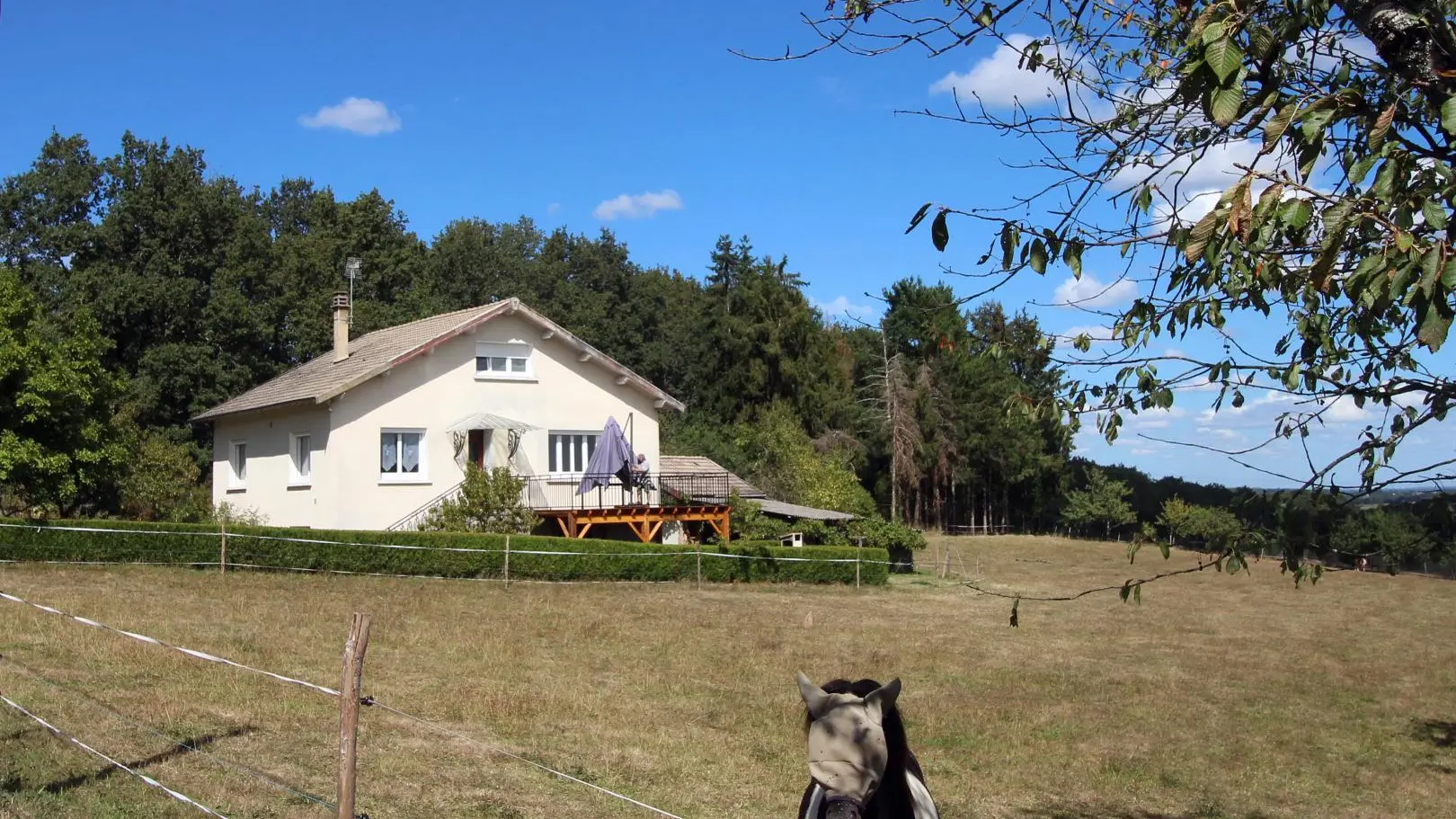 Gite du bois de l'Age à Saint Auvent en Haute-Vienne (Nouvelle-Aquitaine)_19