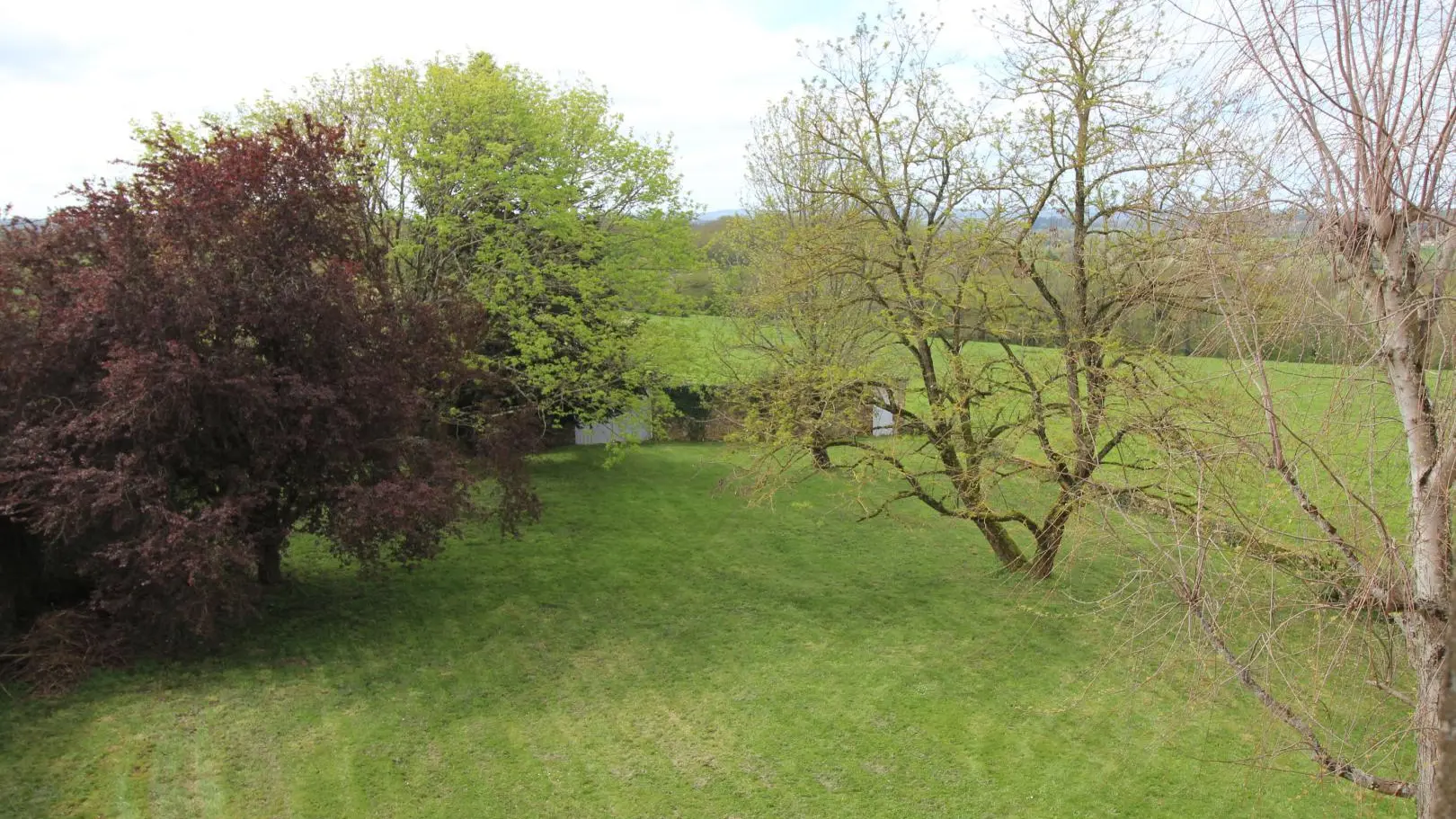 Gite des Hauts de Bosmie, commune de Bosmie L'Aiguille en Limousin - pelouse ombragée côté terrasse_2