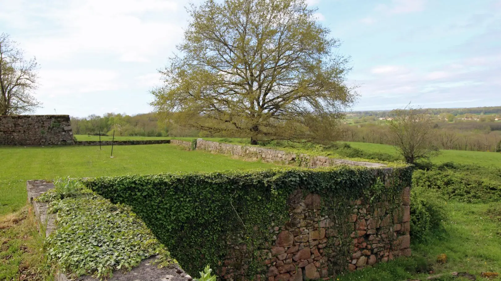 Gite des Hauts de Bosmie, commune de Bosmie L'Aiguille en Limousin - le mur de clôture côté prairie_23