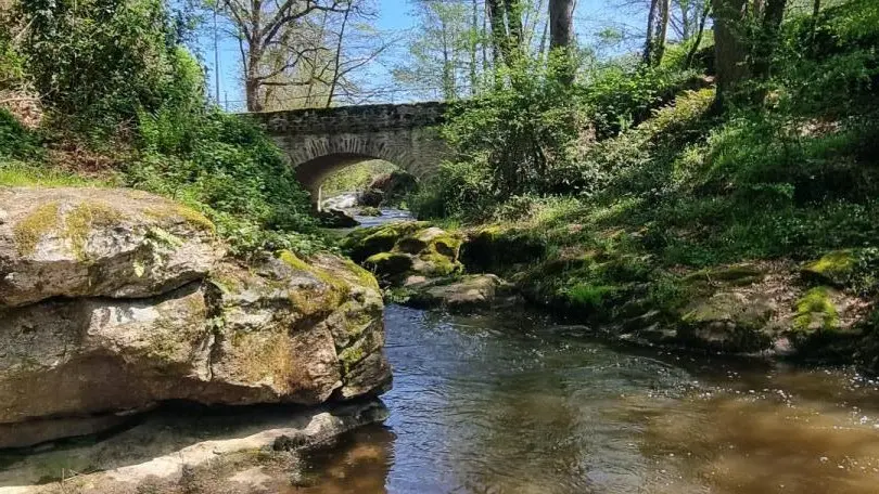 Gîte Le Rabaud à Saint Gence en Haute-Vienne (Nouvelle-Aquitaine)_33