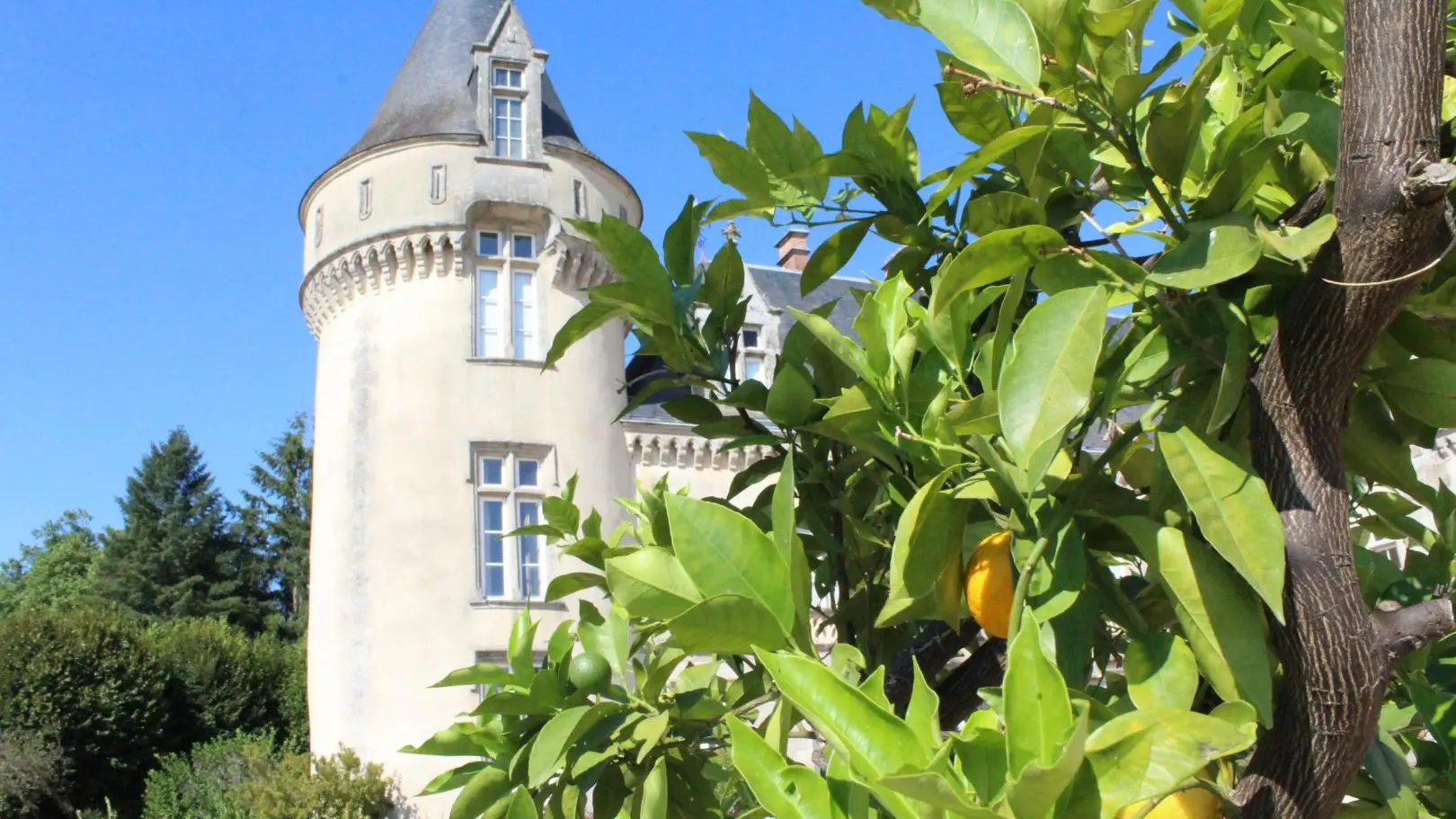 Château de Bort à Saint Priest Taurion en Haute-Vienne (Nouvelle Aquitaine)_53