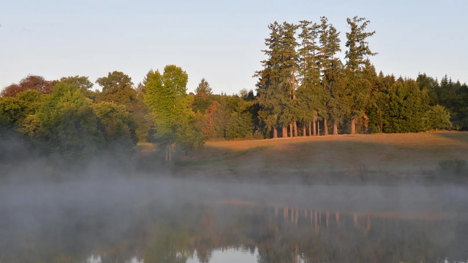 Château de Bort à Saint Priest Taurion en Haute-Vienne (Nouvelle Aquitaine) - Etang_59