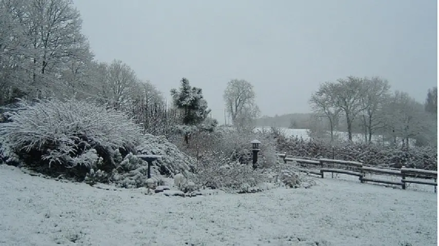 jardin sous la neige_26