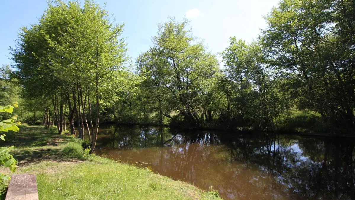 Au bord de la rivière à 100m du gîte de 