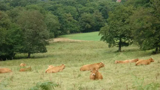 La campagne environnante, vallonnée, propice aux randonnées multiples et variées. _19