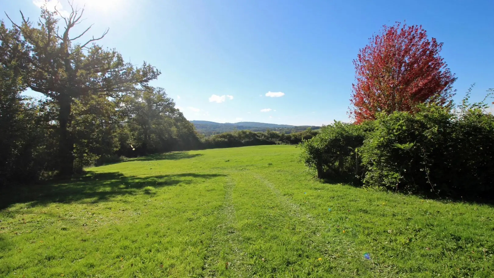 Maison des Roses à Virat, commune de Berneuil en Haute-Vienne, grand espace en pelouse avec vue sur Mont de Blond_3