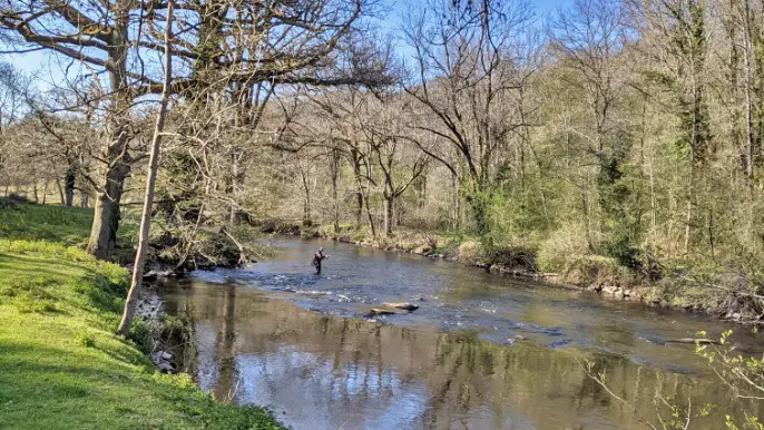 L'abri du martin pêcheur à Blanzac en Haute-Vienne (Nouvelle-Aquitaine), un pêcheur_18