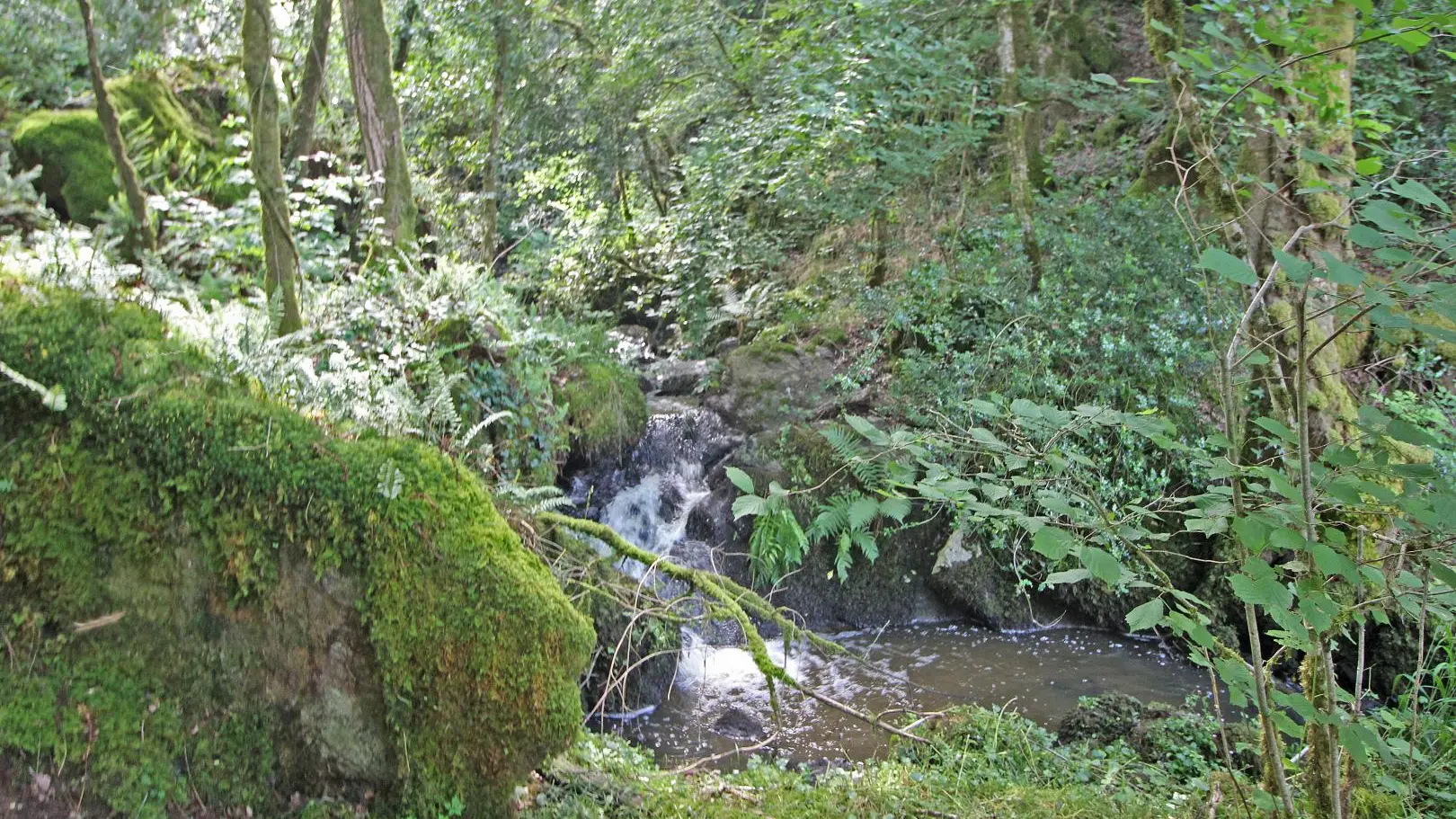 L'abri du martin pêcheur à Blanzac en Haute-Vienne (Nouvelle-Aquitaine)_17