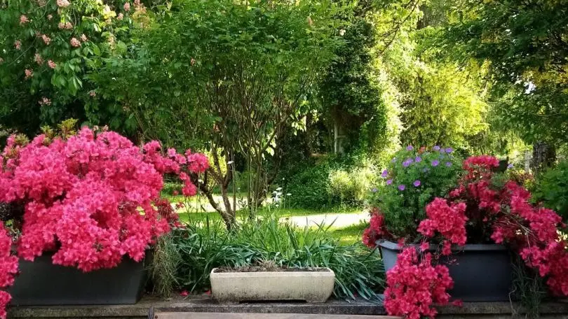 Terrasse fleurie - Gite 