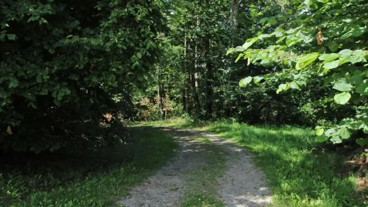 Gite La Ressourcerie à Puypérier - Saint Pardoux Le Lac en Haute-Vienne - le sentier de randonnée proche du gîte_3