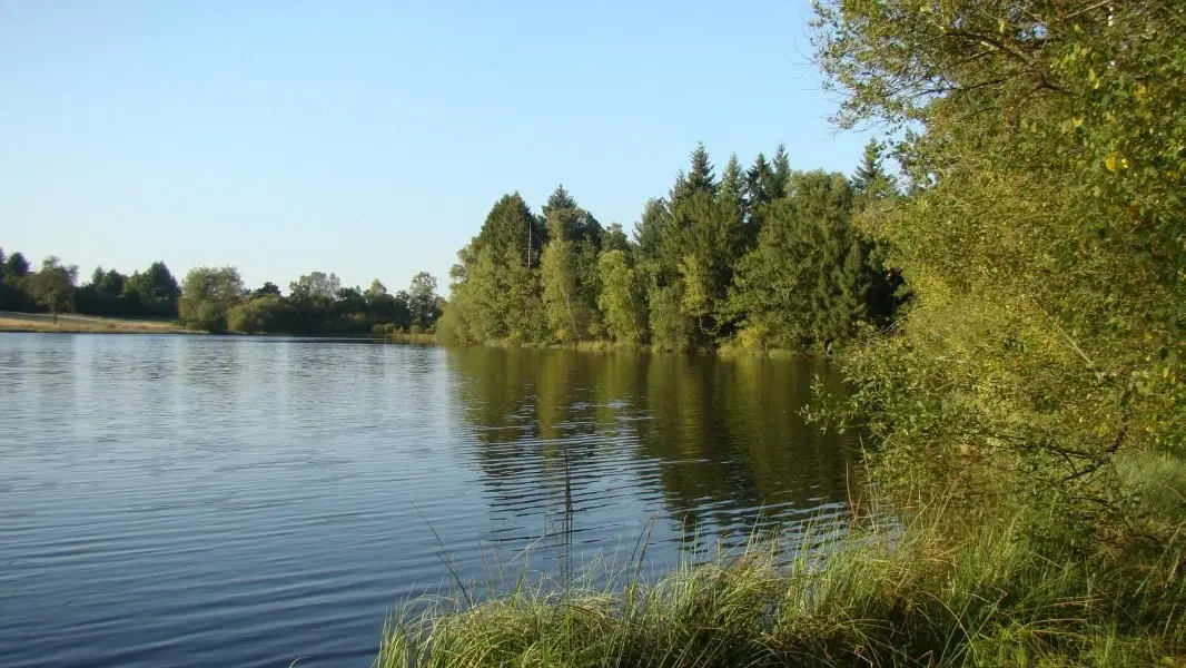 Etang - Gîte de Chasseneuil à Saint Symphorien sur Couze en Haute-Vienne (Limousin en Nouvelle Aquitaine)_4