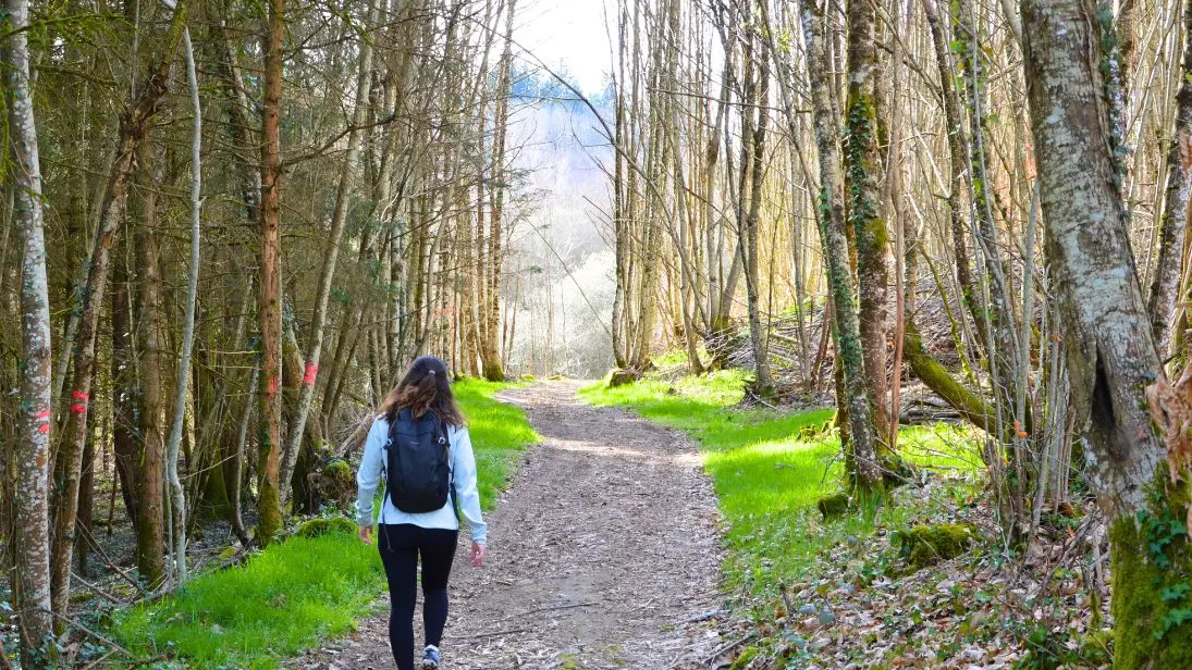 Circuit du Dolmen de la Goupillère