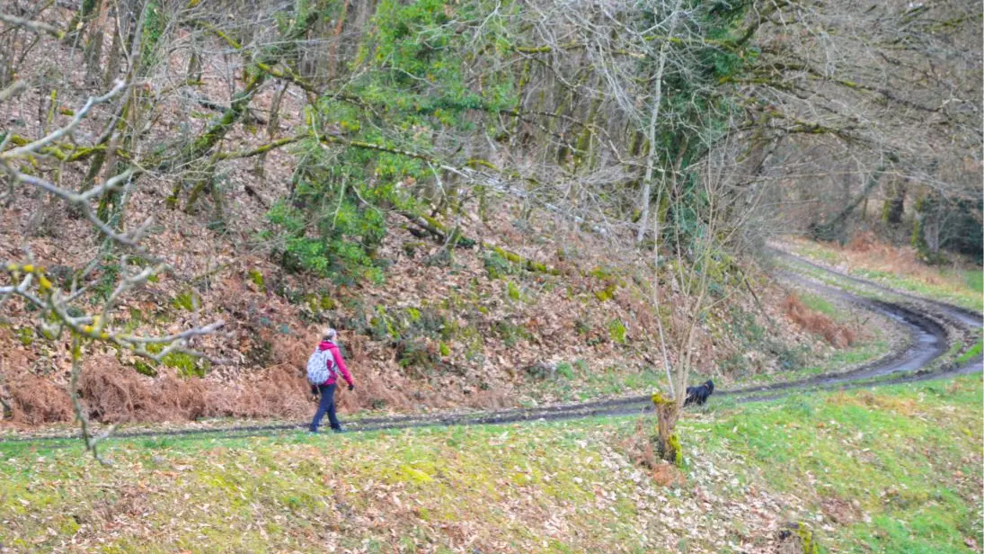 Circuit des Fontaines et des Étangs à Flavignac