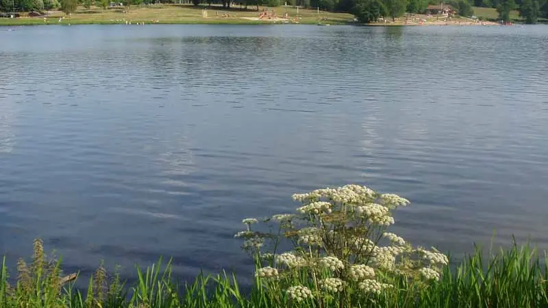 Plan d'eau de Sagnat à Bessines sur Gartempe_3