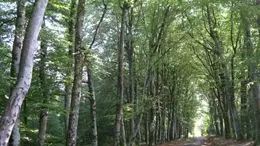 chemin de l'âme de l'âne au rio negro à la Geneytouse_1