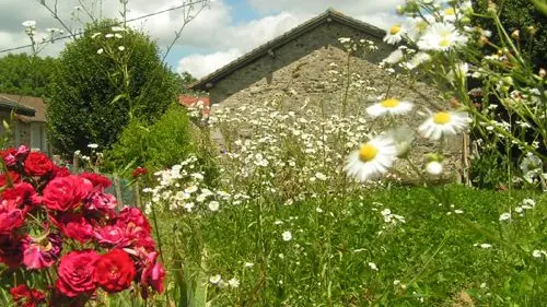chemin de l'âme de l'âne au rio negro à la Geneytouse_2