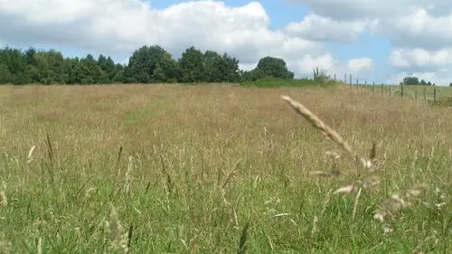 chemin de l'âme de l'âne au rio negro à la Geneytouse_4