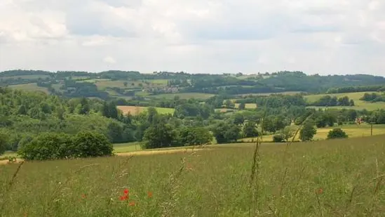 Circuit du Puy de Grammont à Saint-Méard 1_1