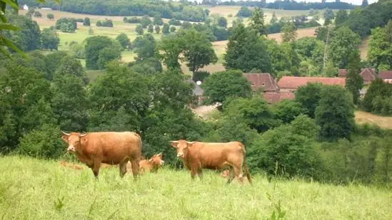 Circuit du Puy de Grammont à Saint-Méard 2_2
