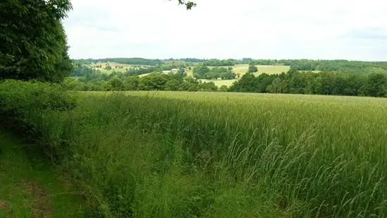 Circuit du Puy de Grammont à Saint-Méard 4_4