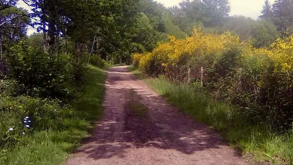 Circuit du duveix à Saint-Méard_3