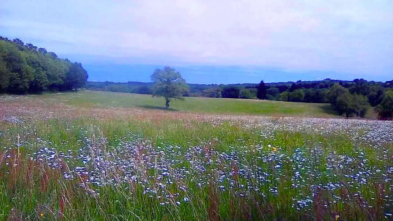 Circuit du duveix à Saint-Méard_4