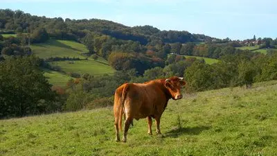 circuit du prieuré de l'artige 2_2