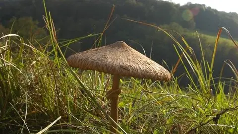 circuit du prieuré de l'artige 3_3