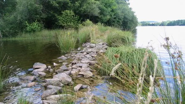 Circuit des Daumiers à Saint-Pardoux_2