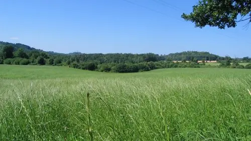 Circuit des Daumiers à Saint-Pardoux_3