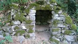 Circuit le paradis à cognac la foret_1