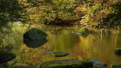 Circuit des Sources de la Dronne à Bussière Galant_2