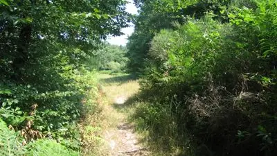 Circuit la randonnade de Cognac-la-Forêt_3