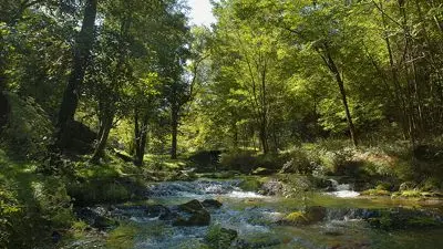 Circuit du château de Lavauguyon à Maisonnais sur Tardoire_1