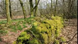 circuit las pradas a cognac la foret_1