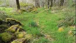 circuit las pradas a cognac la foret_2