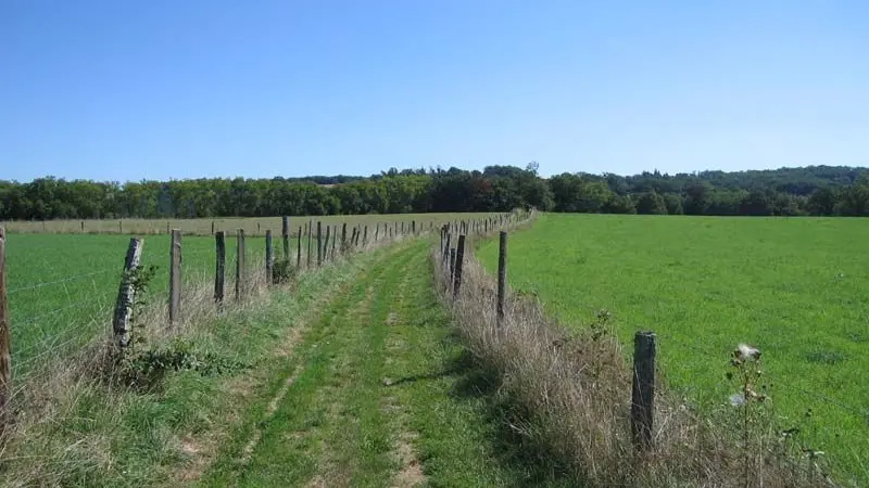 GRP®  Monts de Blond étape 1 : Cieux - Mortemart_4