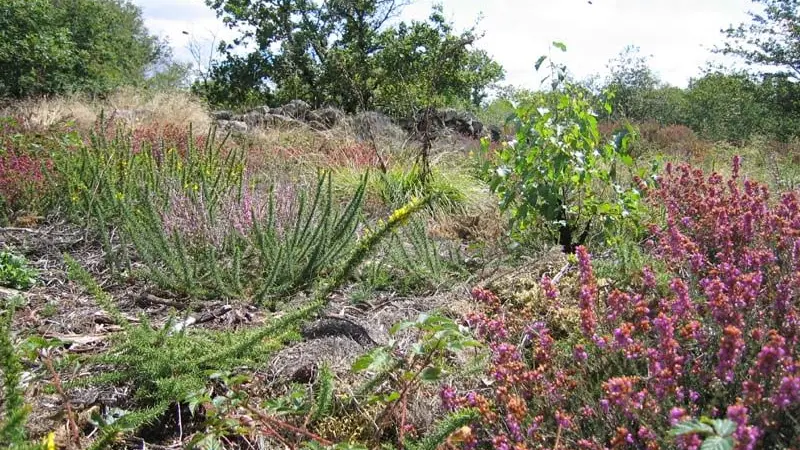 GRP®  Monts de Blond étape 1 : Cieux - Mortemart_6