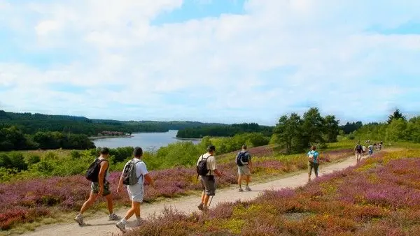 circuit le tour de Saint-Pardoux_1