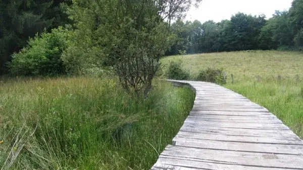 Circuit le tour du lac de saint Pardoux_2