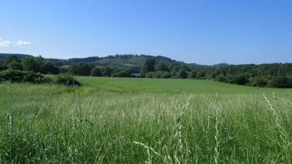 circuit le tour du lac de st pardoux_3