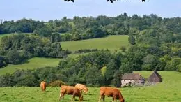circuit du tram à saint-bonnet-briance_1