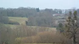 Circuit du bois Badaraud à Siant-Bonnet-briance_2