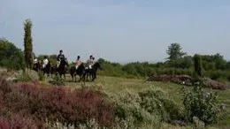 GRP des monts de Blond : étape 3 (Blond-Cieux)_3