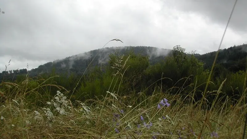 Aire naturelle de Saint-Julien le Petit_2